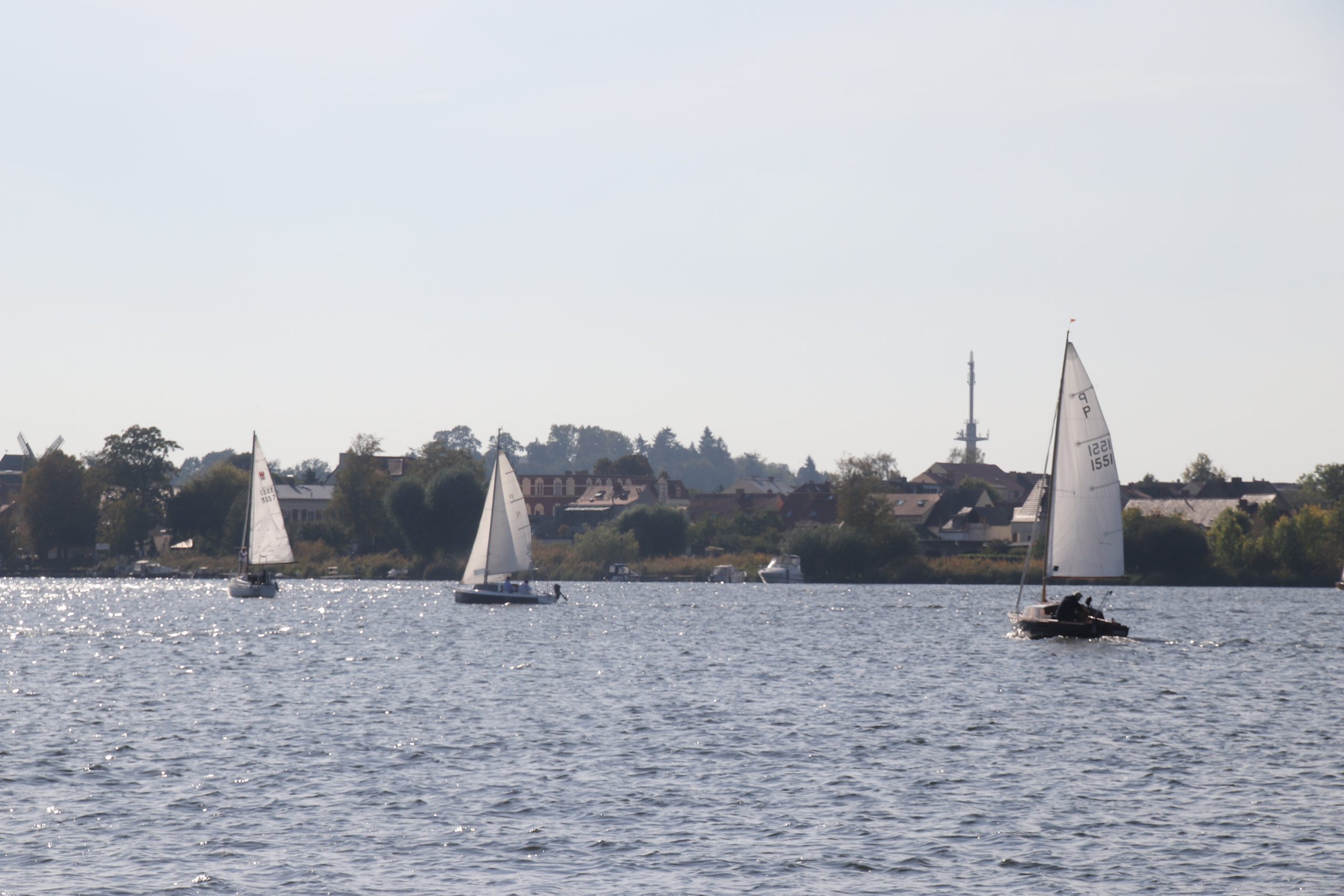 Segelregatta